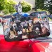 Car Full of Cats Car Sunshade